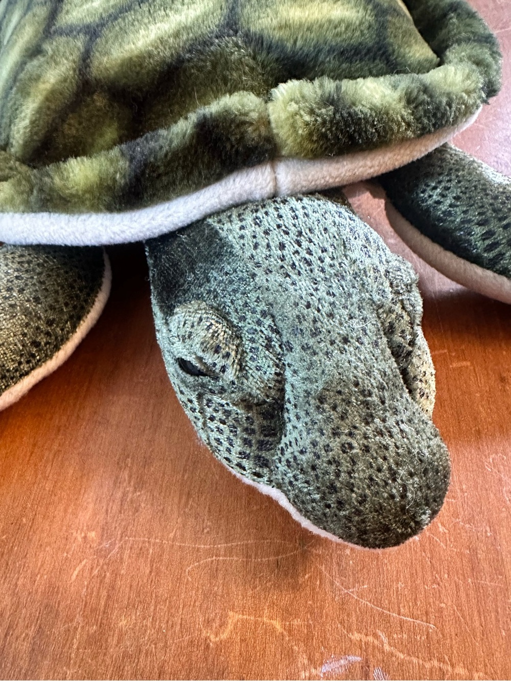 Fiesta Green Sea Turtle Plush Stuffed Animal Toy (#Y40883)